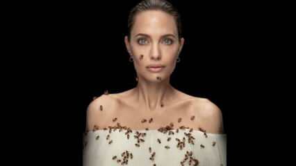 Angelina Jolie in lens met bijen voor bijen!