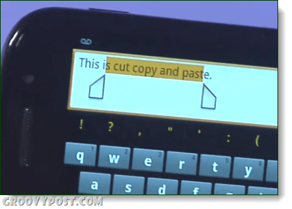 peperkoek kopiëren plak screenshot