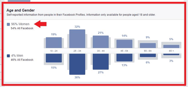 Analyseer de Audience Insights-gegevens voor uw doelgroep.