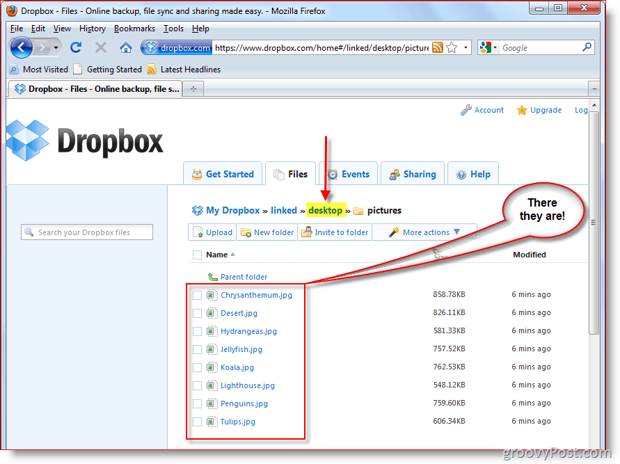 Dropbox-webconsole
