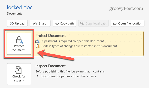 Word Protect-document