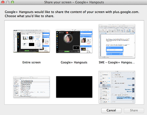 opties voor het delen van schermen van google + hangouts
