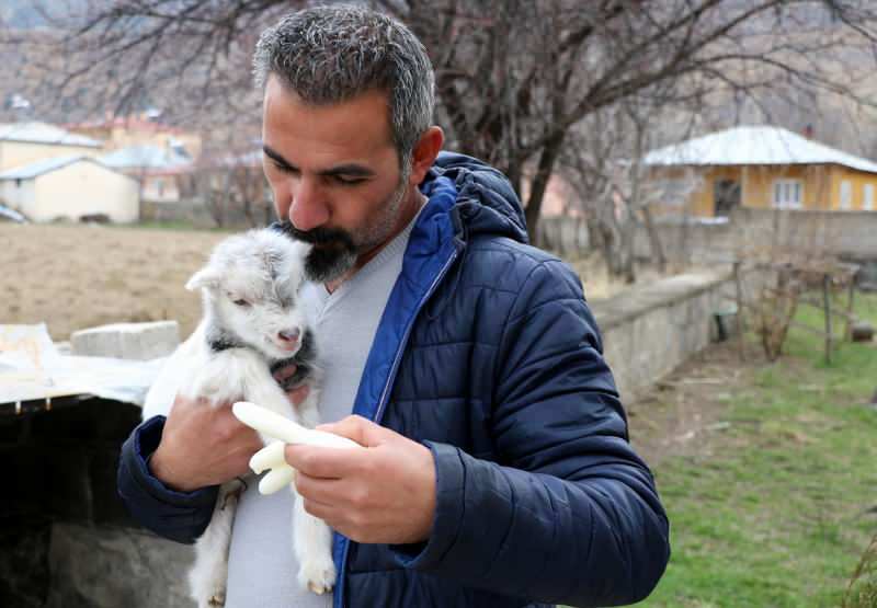 Murat Aydemir heeft het leven van de geitenwelp gered