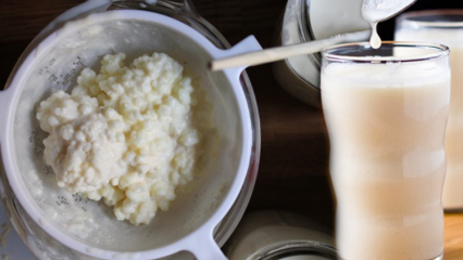 Hoe wordt kefir gemaakt? Wat zijn de voordelen van kefir? Wat doet het om kefirsap te drinken?