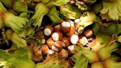 De voordelen van rauwe noten