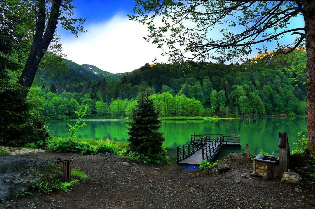 Foto's van het natuurpark Borcka Karagol