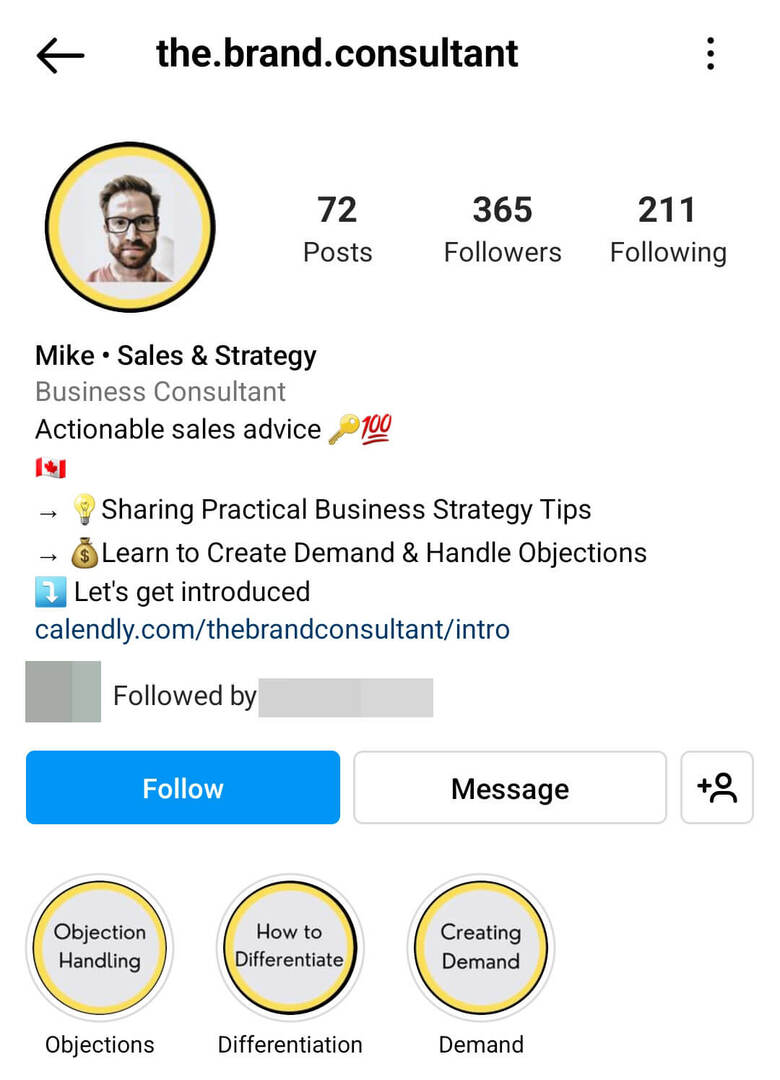 instagram-bio-the.brand_.consultant-serviceprovider-voorbeeld