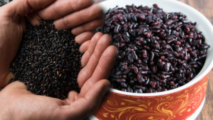 Wat zijn de voordelen van zwarte rijst? Wat is de andere naam van zwarte rijst? Hoe wordt zwarte rijst geconsumeerd?