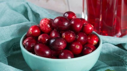 Wat zijn de voordelen van Cranberry? Hoe wordt de cranberrythee gebrouwen?
