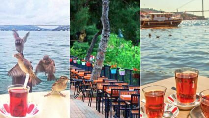 Familie theetuinen aan de Anatolische kant van Istanbul