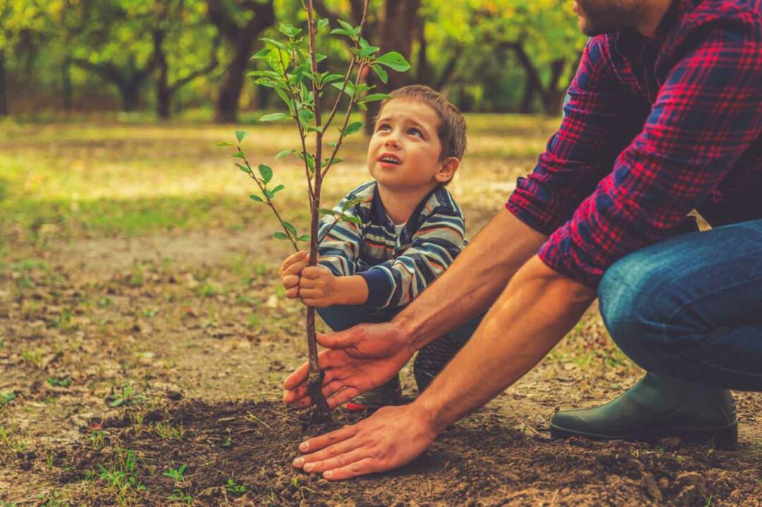 Hoe je het belang van de natuur aan kinderen kunt uitleggen