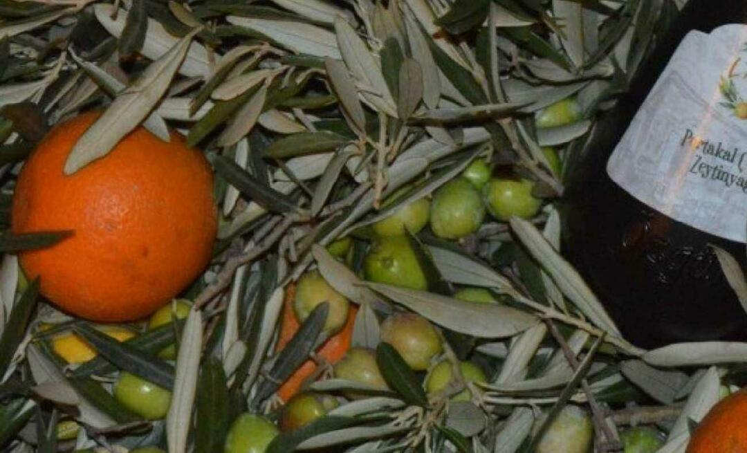 Vrouwelijke ondernemers uit Balıkesir produceerden sinaasappelolijfolie!