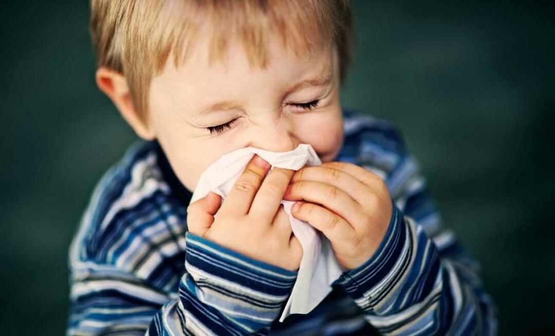 Wat is seizoensallergie bij kinderen? Gaat het samen met kou? Wat is goed bij seizoensallergieën?