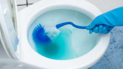 Hoe maak je een toiletborstel schoon? 
