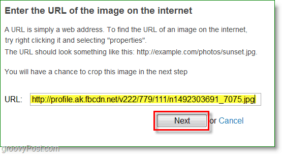 Gravatar-schermafbeelding - voer de afbeeldings-URL in