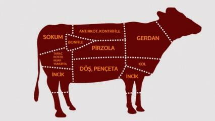 Wat zijn de delen van rundvlees? Welk vlees wordt uit welke regio gesneden?