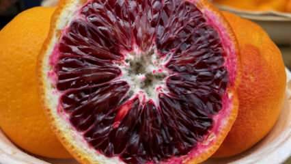 Rijk aan antioxidanten: wat zijn bloedsinaasappelen? Wat zijn de voordelen van bloedsinaasappelen?