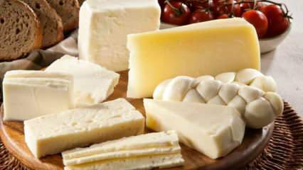 Hoe wordt kaas bewaard? Hoe kaas uit de koelkast te bewaren