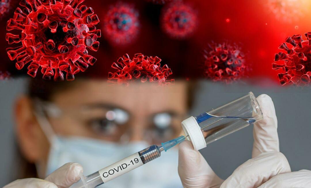 Valt het onder de rechten van mensen om zich niet te laten vaccineren tegen epidemische ziekten? Voorzitterschap voor Religieuze Zaken aangekondigd