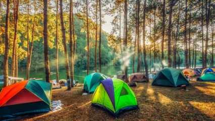 De beste kampeerroutes voor de herfst! De mooiste kampeerterreinen waar je in de herfst een tentje kunt gooien