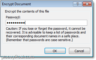 maak een wachtwoord voor uw Office 2010-document