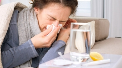 Wat zijn de voedingsmiddelen die goed zijn voor verkoudheid en griep? 5 voedingsmiddelen die griep voorkomen ...