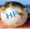 HP bloatware vertraagt ​​uw computer, laten we het oplossen