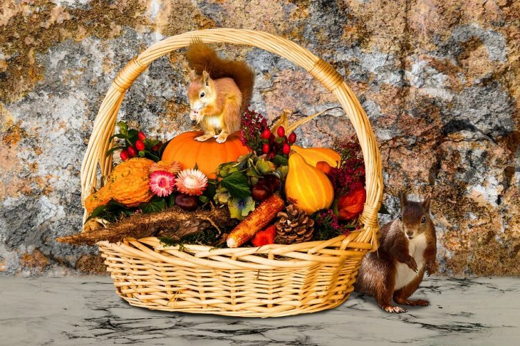 5 objecten die in de herfst schoonheid aan uw huis zullen toevoegen!