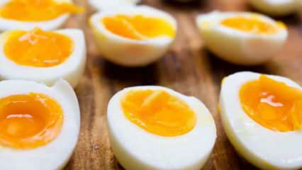 Hoe moet het gekookte ei worden bewaard? Tips voor het ideaal koken van eieren