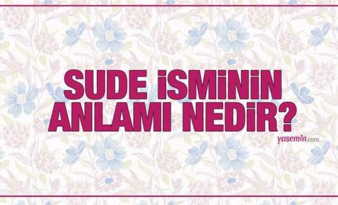 Wat betekent de naam Sude? Wordt de naam Sude genoemd in de koran? Hoeveel mensen hebben de achternaam Sude?