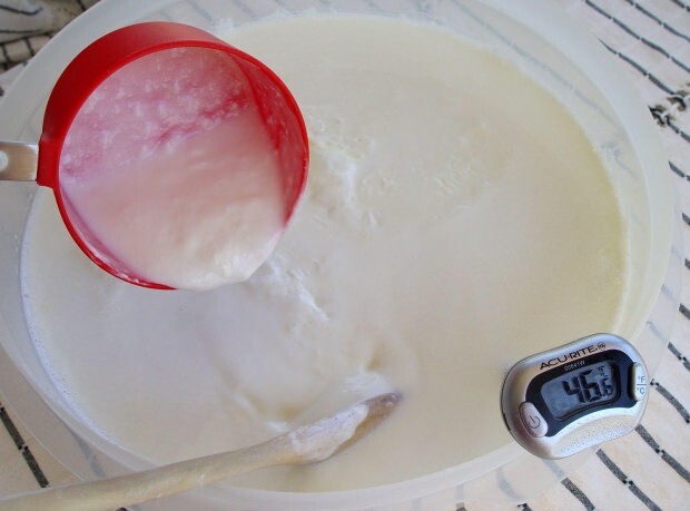 zelfgemaakte yoghurt