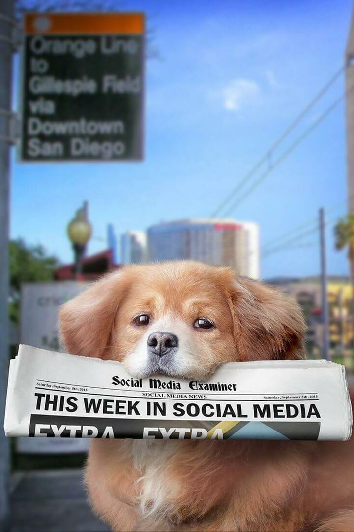 Periscope zendt native uit op Twitter: deze week op sociale media: sociale media-examinator