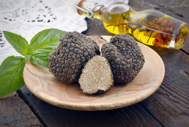 truffels bevatten veel eiwitten