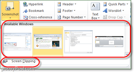 de screenshot-tool heeft twee opties in Office 2010