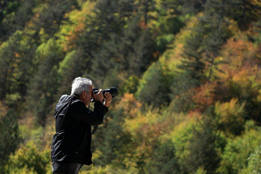 Ilgaz-berg: Alle kleuren van de herfst zijn hier