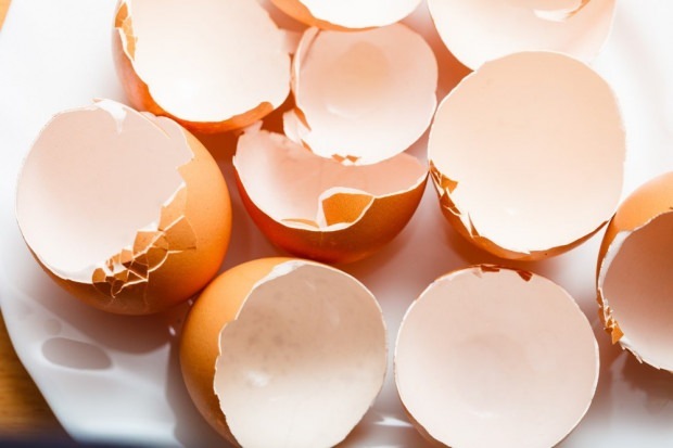 cariësbehandeling met eierschaal