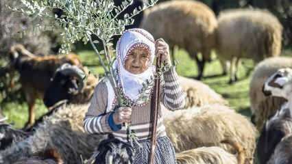 Tante Fatma is al een halve eeuw een herder in de uitlopers van het Amanosgebergte!