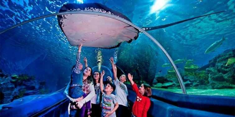  Scènes uit het Istanbul Sea Life Aquarium