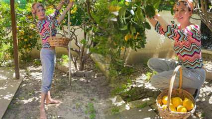 Zangeres Tuğba Özerk plukte citroen van de boom in haar eigen tuin!