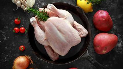 Hoe weet je of de kip verwend is? Wat zijn de tekenen dat de kip bederft?