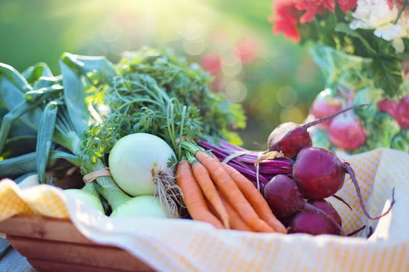 Wat is het groentendieet? Hoe maak je een plantaardig dieet?