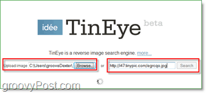 TinEye Screenshot - zoek uw afbeelding op voor duplicaten en grotere versies