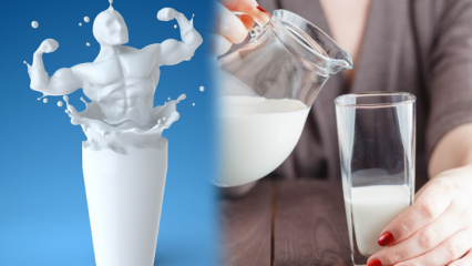 Verzwakt het drinken van melk voor het slapengaan? Permanent en gezond afslankmelkdieet