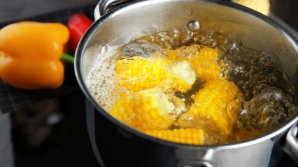 Hoe maak je thuis gekookte maïs? Hoe verwijder je gekookte maïs?