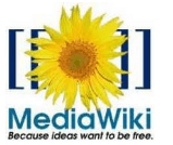 MediaWiki-plug-in voor Microsoft Word 2010 en 2007
