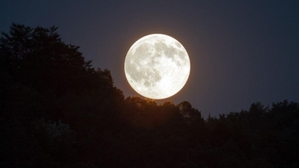 Wat is de Super Moon? Hoe gebeurt de Super Moon-zonsverduistering? Wanneer vindt de Super Moon plaats?