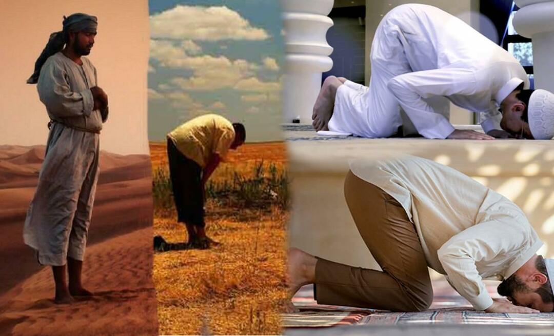 Wat betekenen lichaamsbewegingen tijdens het gebed? Wat is de wijsheid van staan, buigen en twee buigingen?