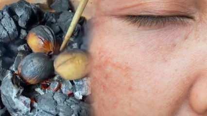Walnoot-olijfoliemengsel dat oneffenheden en brandplekken op je gezicht verwijdert!