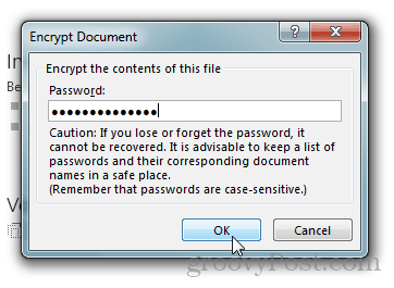 Wachtwoordbeveiliging en versleuteling Office 2013-documenten: typ een wachtwoord