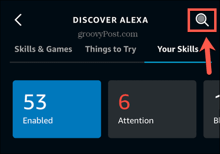 Alexa zoekvaardigheden